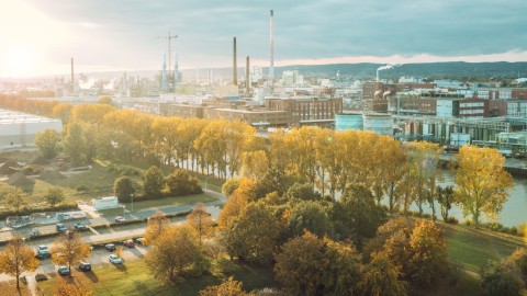 Sicht nach Norden auf den Industriepark Höchst. Gebäude, Bäume und Anlagen zieren das Bild