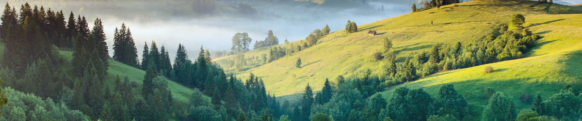 Hügelige Landschaft mit Bäumen