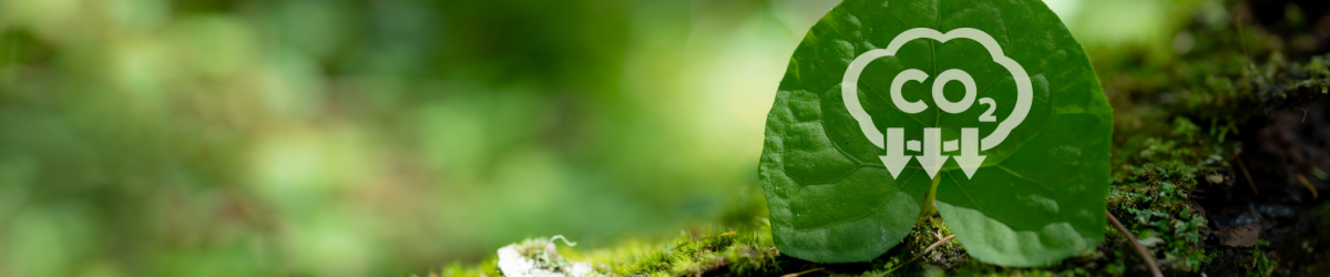 Carbon Capture